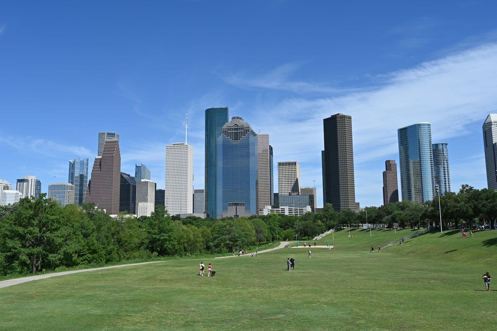 Houston, Texas skyline on a sunny day seen from a park