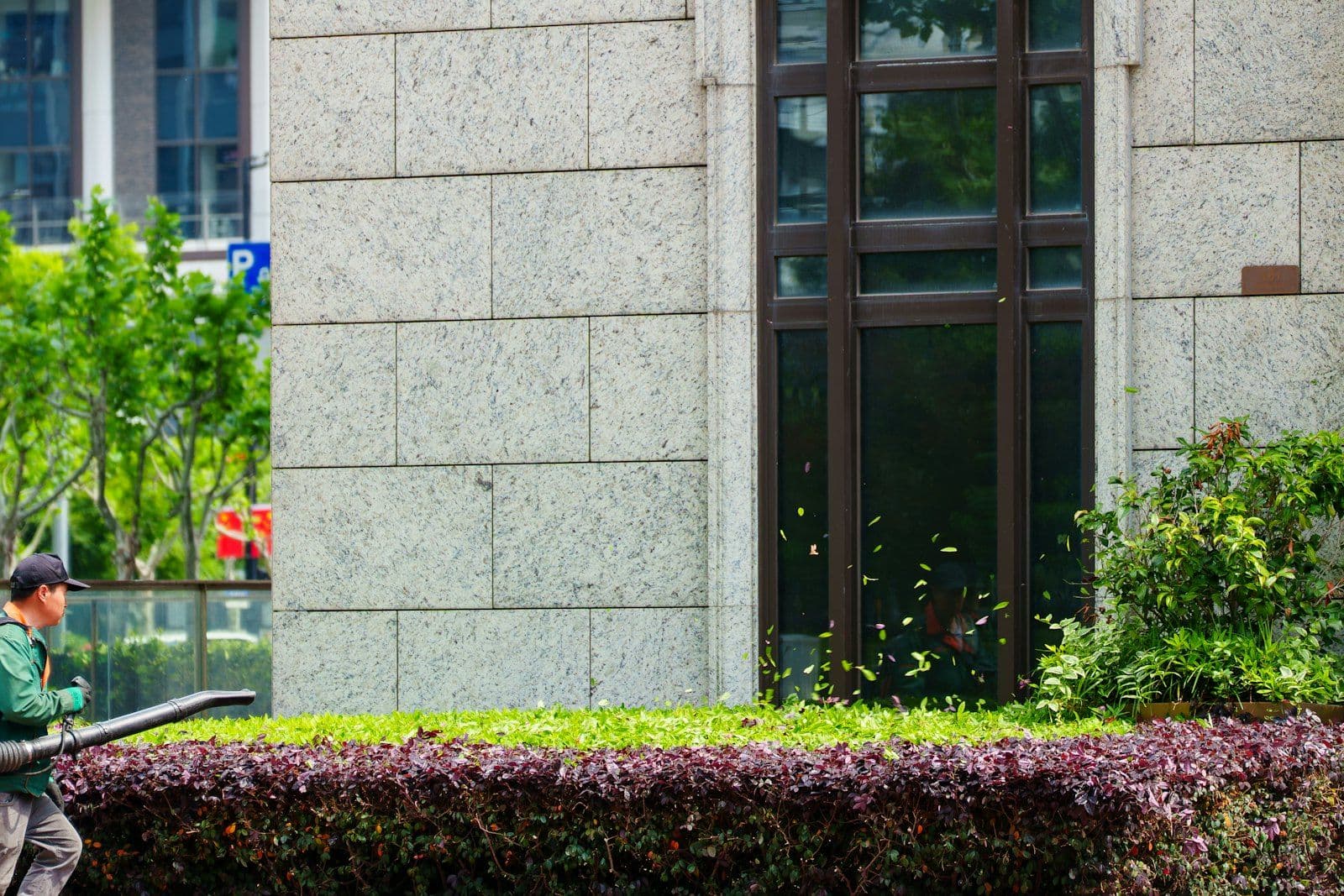 Landscaper using a leaf blower along hedges outside a commercial building, Dallas TX